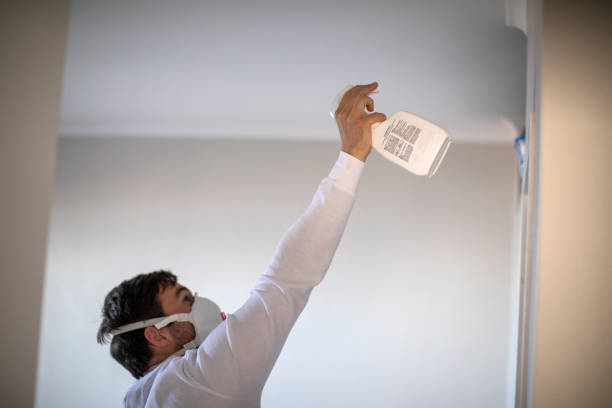 Best Crawl Space Mold Removal  in Lanster, CA