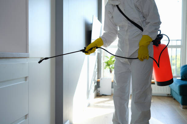 Trusted Lancaster, CA Mold Removal Experts